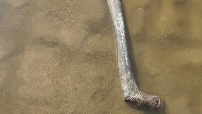 Strandvonder doet lugubere vondst op strand: “Bot beslist van een mens”