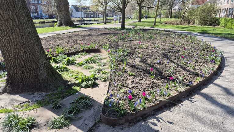 Park met een bloembed vol jonge bloemen en enkele tulpen, omgeven door bomen en een pad, met een rustig kanaal en mensen op de achtergrond.