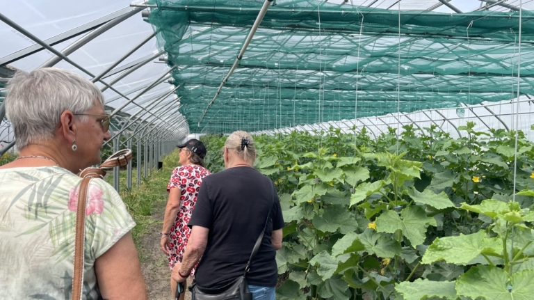 Open dag Herenboerderij Duinstreek trekt nieuwsgierige bezoekers: “Ik wist niet dat dit bestond”