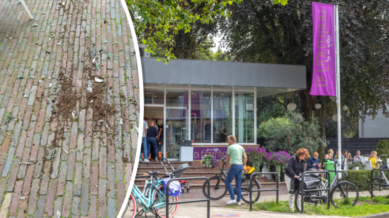 Heiloër ijssalon stelt ultimatum aan vernielende jongeren: excuses of aangifte