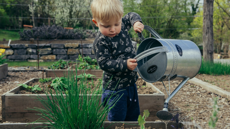 Kleur in je tuin in de lente? Bloembollen planten in oktober [Advertorial]