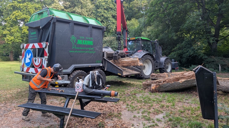 Kettingzaag en versnipperaar verstoren de rust: zieke iepen weg uit De Hout