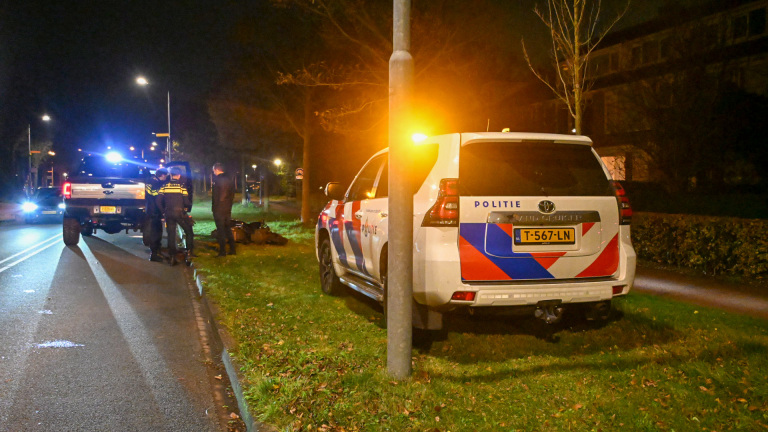 Nachtelijke scène met een politievoertuig met knipperende lampen op een groenstrook langs de weg en agenten die bij een auto staan, verlicht door straatverlichting.