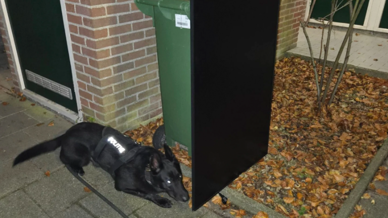 Een zwarte hond met een politieharnas ligt naast een grote, zwarte tv die tegen een groene afvalcontainer leunt, met herfstbladeren op de grond op de achtergrond.