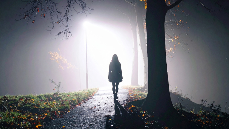 Een silhouet van een persoon die langs een met bladeren bezaaid pad loopt op een mistige nacht, verlicht door een felle straatlantaarn, met kale bomen langs het pad.