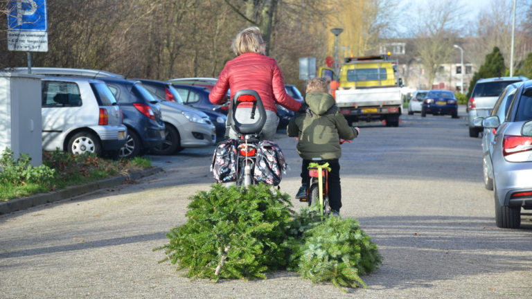 Zakcentje verdienen met het inleveren van kerstbomen