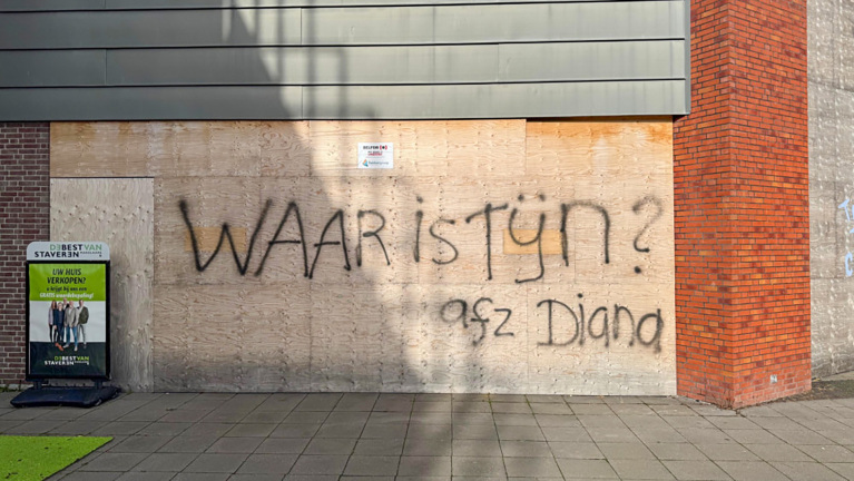 Verdachte geeft broertje schuld van moord op Tijn: gruwelijke details onthuld