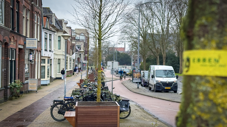 Straatbeeld met bomen, geparkeerde fietsen en auto's langs de stoep, mensen wandelen langs winkels en een kapper.