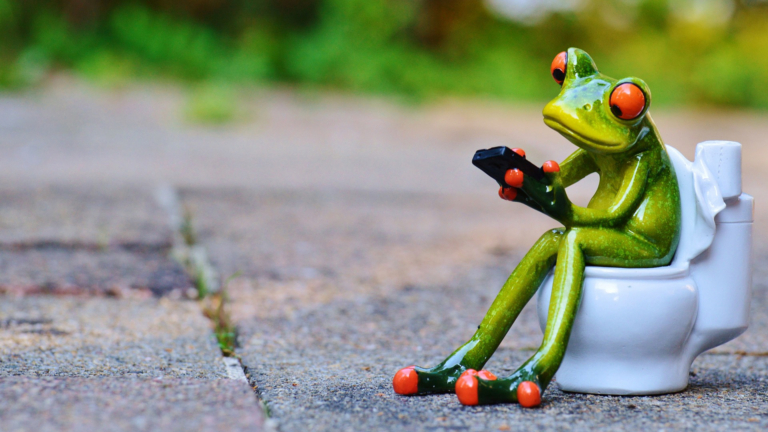 Bergen stijgt met stip op ranglijst toiletvriendelijkheid: ‘Hogere notering dankzij anderhalve ton’