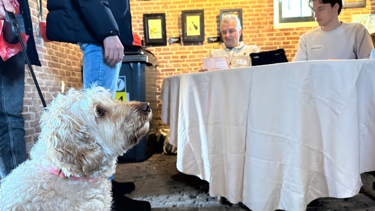 Kritische opmerkingen horen bij verkiezingsdag, maar dode kip baart opzien