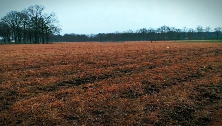 Een wijd uitgestrekt bruin veld omgeven door kale bomen onder een grijze lucht.
