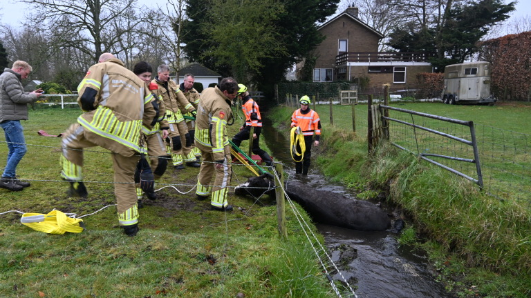 Brandweer Limmen redt vermoeid paard uit de sloot