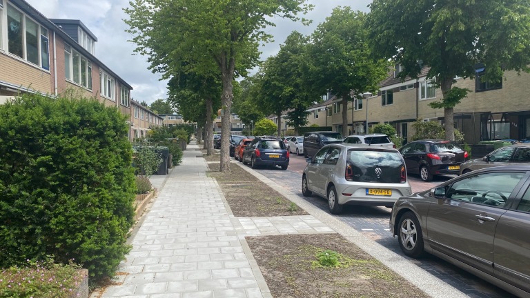 Een rustige straat met geparkeerde auto's naast een stoep en rijtjeshuizen omgeven door groene bomen.