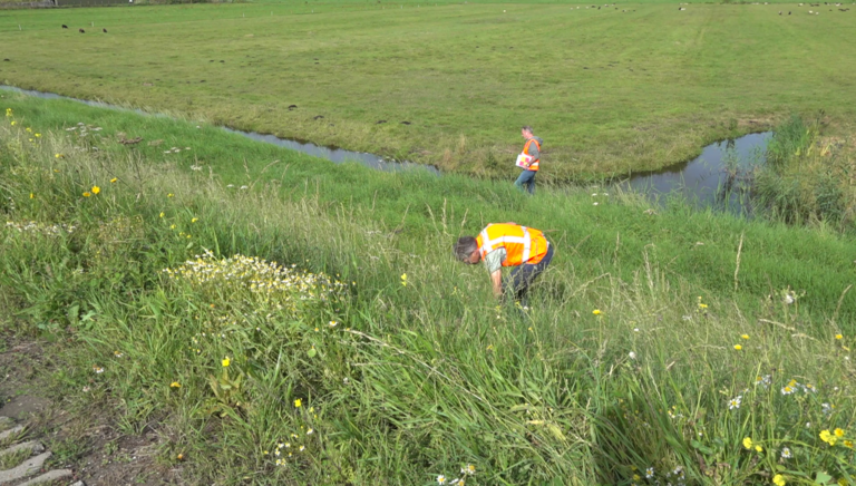 Hier nog geen zorgen over watertekort, wél inspectie van kwetsbare dijken