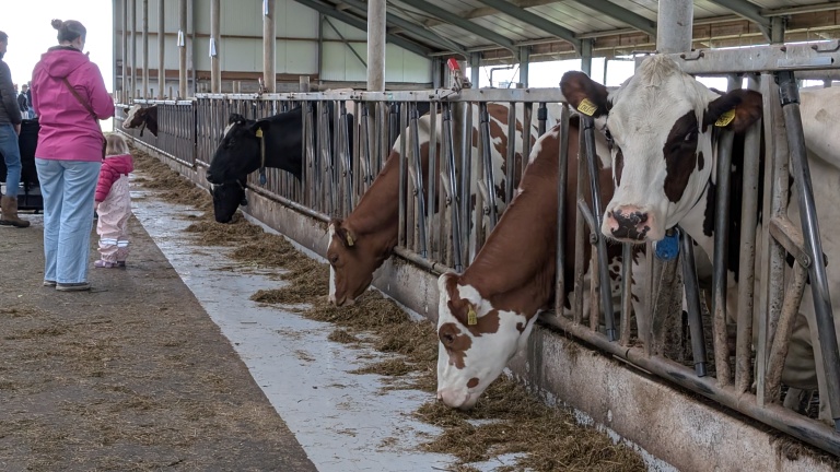 Melkveehouders goed bezig met vermindering van stikstofuitstoot: “Doelsturing wérkt”