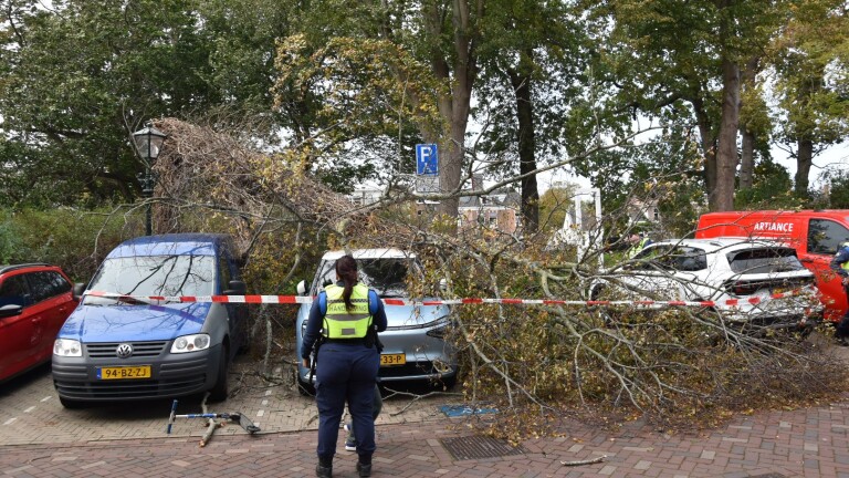 Storm velt bomen: schade aan auto’s in Alkmaar en Koedijk
