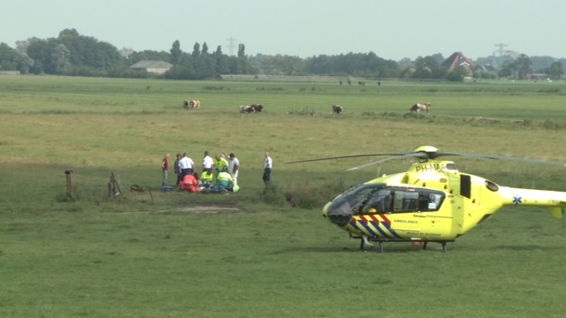 20140728 boer stier 1