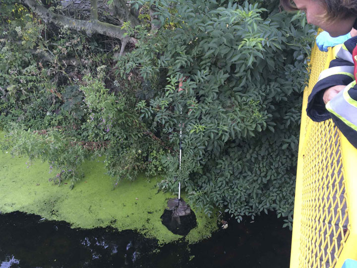 20140801 Hhw brandstichting 2