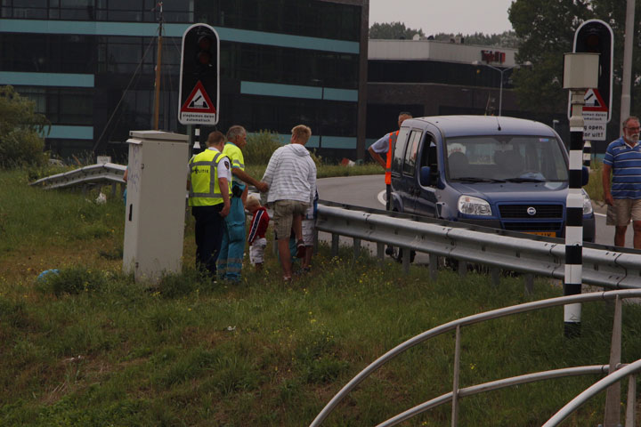 20140808 kopstaart nschermerweg 2