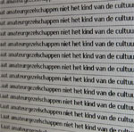 Vrouw botst hard tegen slootwal bij gelijktijdige inhaalpoging (FOTO's)