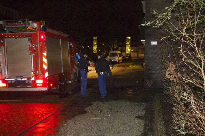 20130207 cornelis pronklaan 002