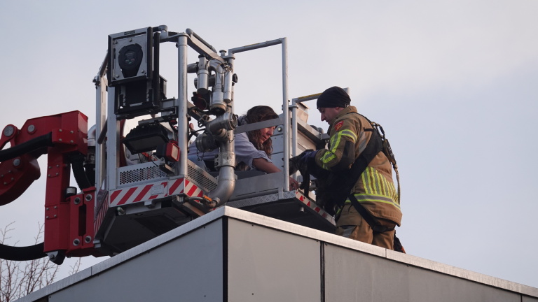Kat in een reismand kijkt door de tralies, naast een persoon met spijkerbroek en schoenen.