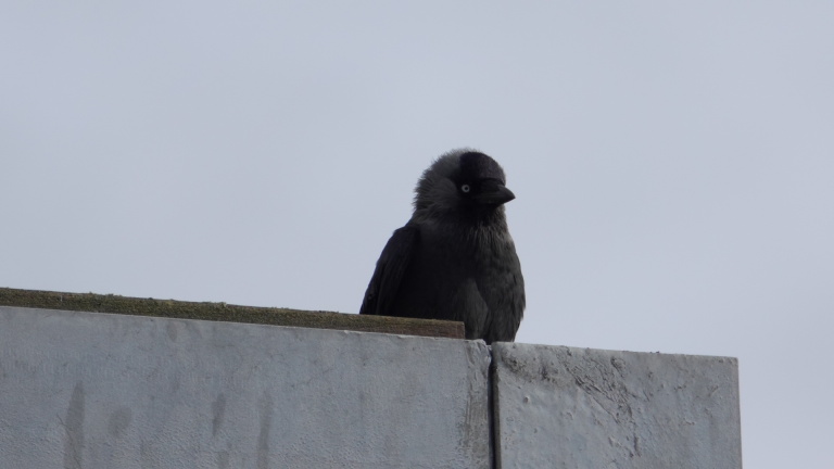 Een persoon in veiligheidskleding werkt op hoogte aan een metalen constructie met buizen en leidingen.