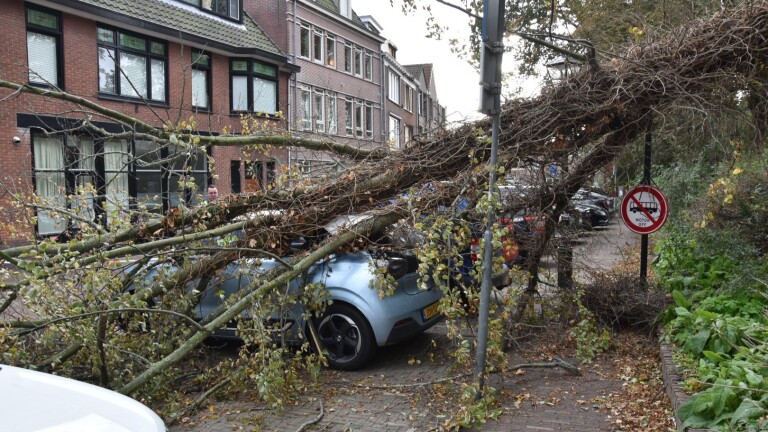 Handhaver staat bij met lint afgezet parkeerterrein waar een omgevallen boomtak op auto’s is gevallen