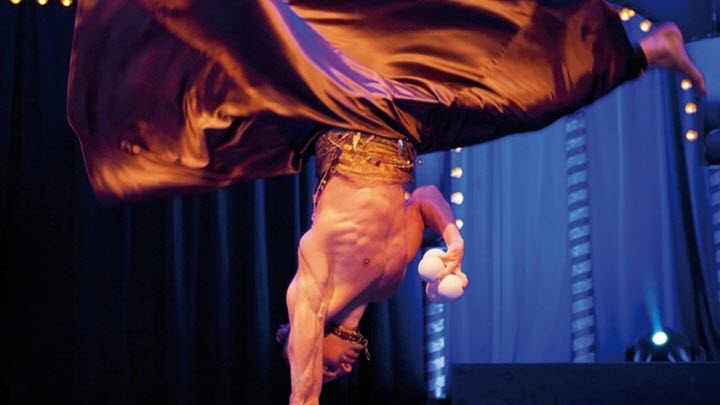 De Vest gastheer voor circusdoop tulpenbol