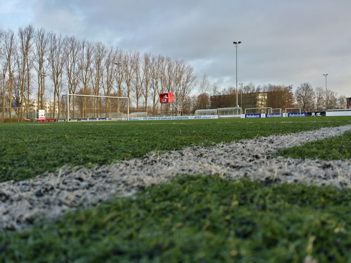 20150116 kunstgrasveld flamingos